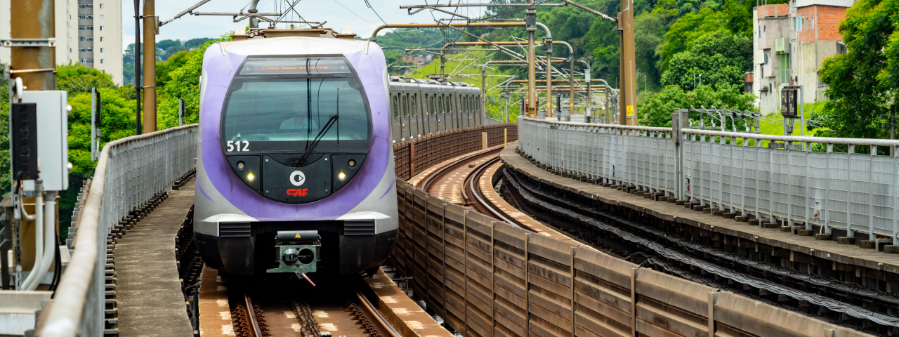 Trem com pintura roxa circulando em via elevada entre áreas arborizadas.